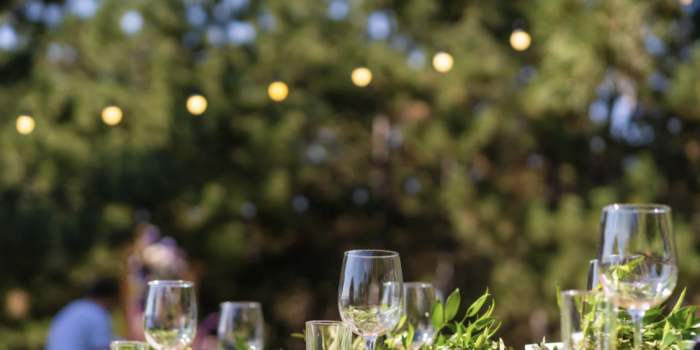 Garden Party – Soirée Wine & Cheese