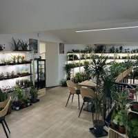 Café mensuel