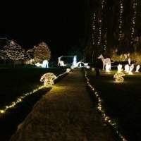 Balade avec illuminations au park Zlute lazne